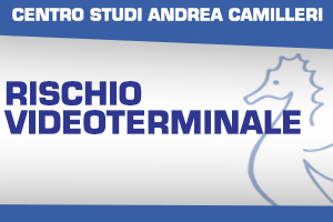 RISCHIO VIDEOTERMINALE